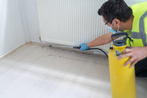 Best Local Pest Control Services  in Red Bank, NJ