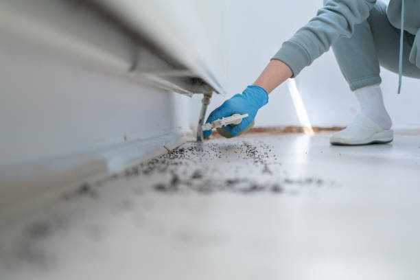 Best Pest Removal Services  in Red Bank, NJ