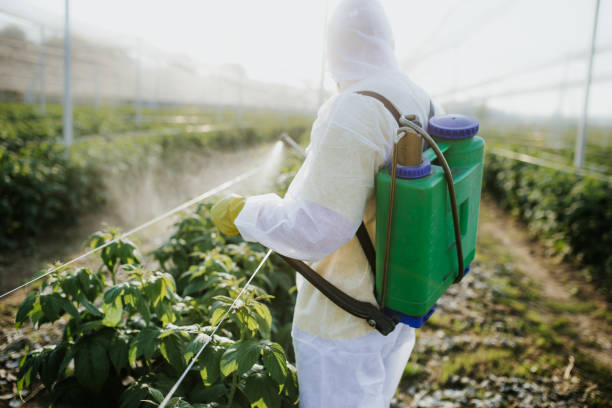 Best Mosquito Control Services  in Red Bank, NJ
